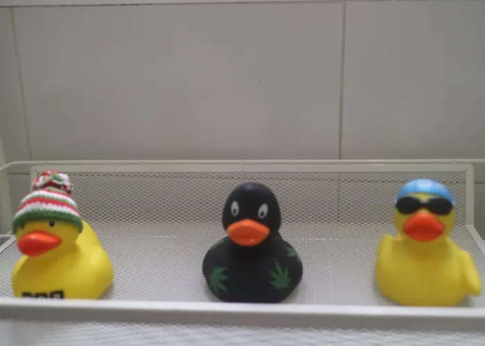 Calida Vivienda Turistica Centrica Junto Al Funicular Y Metro * Bilbao